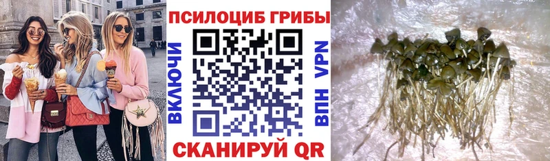 Псилоцибиновые грибы прущие грибы  hydra онион  Курильск 